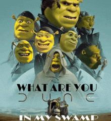 a shrek movie poster that says what are you in my swamp