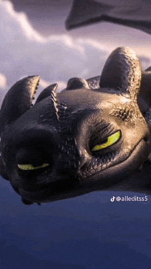 toothless from how to train your dragon is smiling and looking at the camera