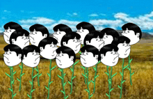 a bunch of flowers with faces on them are growing in a field