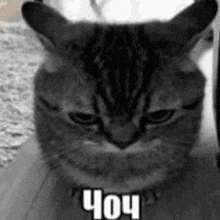 a black and white photo of a cat with a collar and a caption .