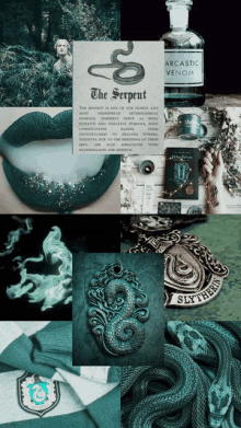 Slytherin Aesthetic Meme