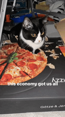 a black and white cat laying on top of a box of pizza