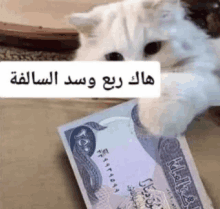 a white cat is playing with a foreign currency bill .