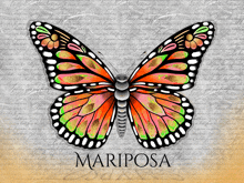 a colorful butterfly with the word mariposa on it