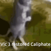 a cat is standing on its hind legs with the words vic 3 restored caliphate above it