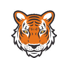 a tiger 's head with a white background