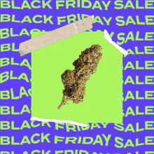 a black friday sale advertisement with a picture of a marijuana bud