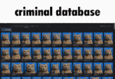 a screen shot of a criminal database with a bunch of cats on it