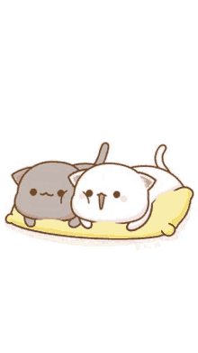 a gray and a white cat are laying on a yellow pillow .