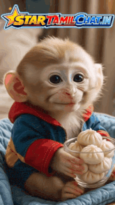 a baby monkey is holding a bowl of dumplings and a star tamilchat.in logo