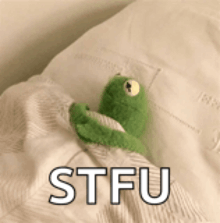 a kermit the frog is laying on a bed with the words stfu written on the bottom