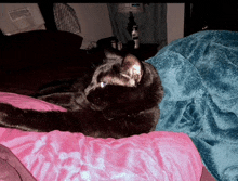 a black cat laying on a bed with a pink and blue blanket