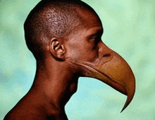 a man with a bird 's head and a large beak .