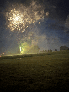 a fireworks display in a field with people watching