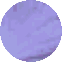 a purple circle on a white background with a few dots on it