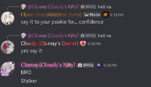 a screenshot of a discord conversation between cloudy 's kitty and clumsy