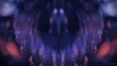 the word kepler is on the purple background