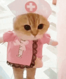 a cat is dressed as a nurse and has a syringe on its neck .