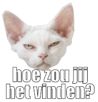 a white cat with the words hoe zou jij het vinden