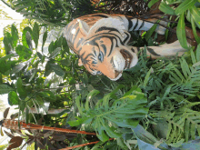 a statue of a tiger is surrounded by lots of greenery
