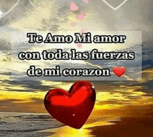 a red heart is floating in the water with the words `` te amo mi amor con toda las fuerzas de mi corazon '' written on it .