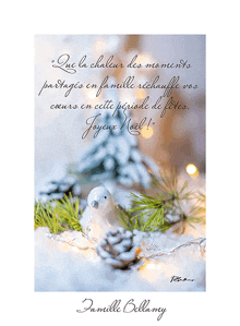 a christmas card that says " que la chaleur des moments partages en famille " on it