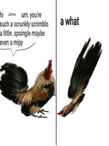 a picture of a rooster next to a picture of a bird with the words " a what " on the bottom