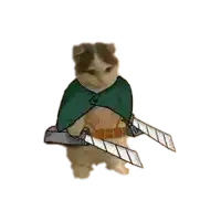 a cat wearing a cape and holding a pair of swords .