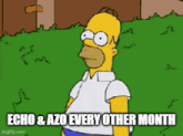 a cartoon of homer simpson standing in a grassy yard with the words echo & azo every other month .