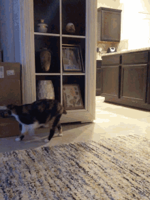 a cat is standing in front of a shelf with a picture on it that says ' i love you '