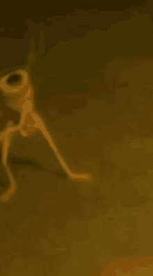 a blurred image of a frog with long legs walking on the ground .