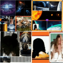 a collage of images including a tiger and the words universe