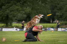 a woman is kneeling down while a dog catches a frisbee in the air