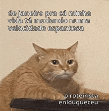 a picture of a cat with a caption that says de janeiro pra ca minha vida ta mudando numa velocidade espantosa