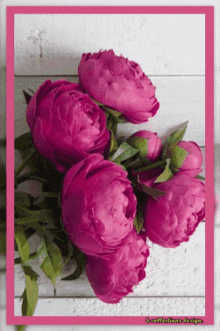 a bunch of pink flowers with a pink border