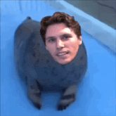 a seal with a man 's face on it 's back