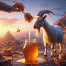 a person pouring honey into a jar with a goat standing behind it