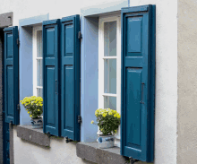 a window with blue shutters and potted flowers on the window sill