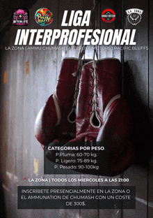 boxing gloves hanging on a wooden wall with the words liga interprofesional