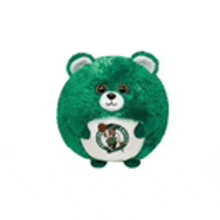 a green teddy bear with a boston celtics logo on it 's chest .