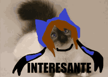 a drawing of a cat with a blue hat and the words " interessante " below it