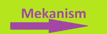 a purple arrow pointing to the word mekanism on a green background