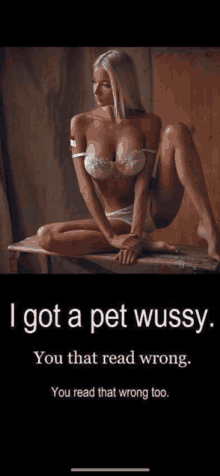 a woman in lingerie is sitting on a wooden table with the words " i got a pet wussy " above her