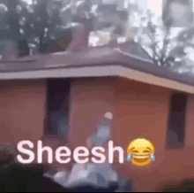 a person is standing on the roof of a house with a smiley face and the words `` sheesh '' .