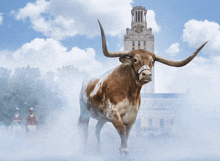 a brown and white texas longhorn standing in front of a large building