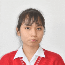 a young girl wearing a red sweater and white shirt