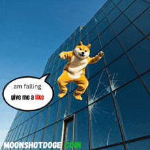 a doge mascot is flying through the air with a speech bubble saying am falling give me a like