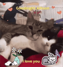 a couple of cats laying on top of each other with the words goodnight allison i love you