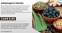 an ad for adaptogens market with a picture of blueberries and other herbs