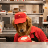 a dog wearing a red mcdonald 's hat and apron